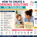 Morning routine for toddlers: laminated visual chart on wall showing daily steps from wake up to out the door